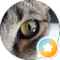 adryana garro Avatar
